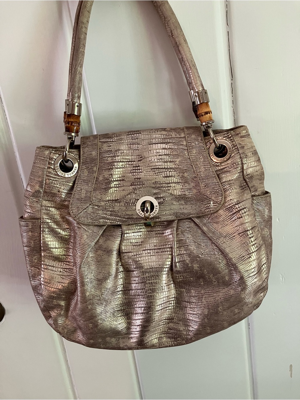 Elaine Turner Metallic Taupe Shoulder Bag